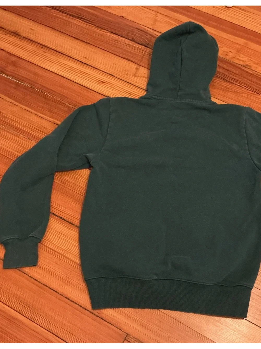 North Face Thick Hoodie